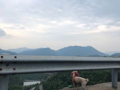 -江南天池