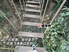-西双版纳原始森林公园