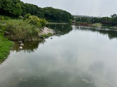 -美兰湖景区
