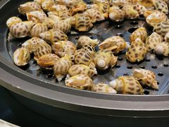 -越百海海鲜蒸锅(乐山店)