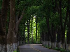 -虞山风景区