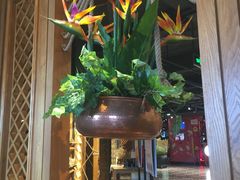 -云海肴·汽锅鸡·云南菜(天山百盛优客店)