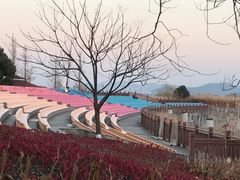 -苏州太湖湖滨国家湿地公园