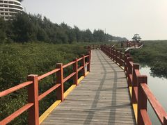 -北海金海湾红树林生态旅游区