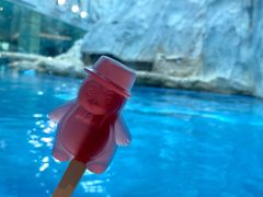 -帝企鹅自助餐厅•儿童岛•真企鹅(长隆企鹅酒店)