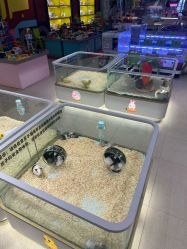 -meland亲子乐园·派对·研学(淄博万象汇店)