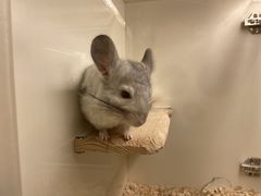 -龙猫仔乐园(惠福东路店)