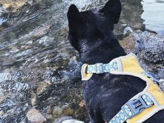 -白河堡水库