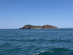 -海驴岛(荣成市)