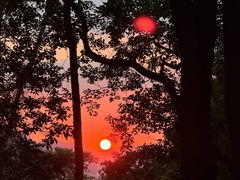 -火炉山森林公园
