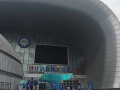 -烟台海昌鲸鲨海洋公园