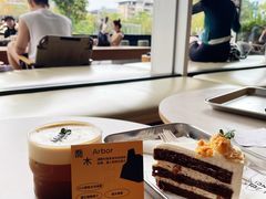 乔木-SAANCI山池咖啡(海上世界文化艺术中心店)