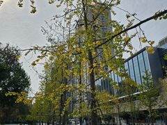 -江油特色冷沾沾(火炮街店)