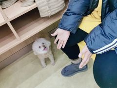 -瑞派宠物医院·中兽医专科(中央商城分院)