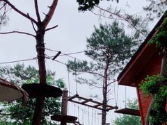 -牛鱼嘴原始生态风景区