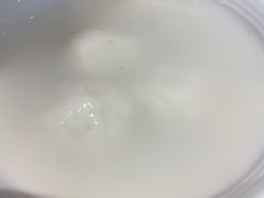 -海丝金凤(金鱼店)