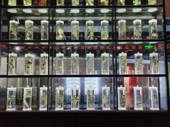 -广东中医药博物馆