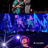 山谷里的艺术节实在太好看啦！