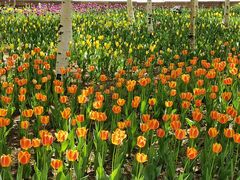 -长春公园(普阳街道)