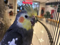-东四民芳餐厅(世茂工三店)