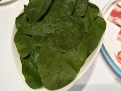 菠菜-澳洲肥牛火锅(转盘路店)