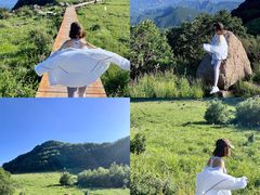 -白草畔自然风景区