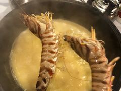 -鲜入围煮花胶鸡海鲜火锅
