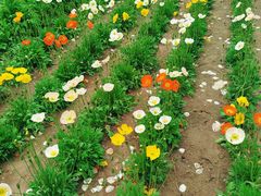 -国家植物园南园