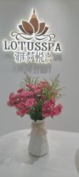 -雅荷悦来双美