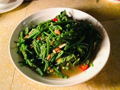 龙须菜-草山夜未眠景观餐厅