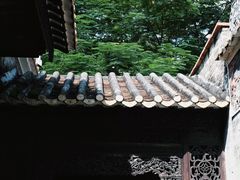 -碧江金楼