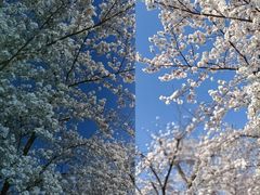 -龙美术馆(西岸馆)