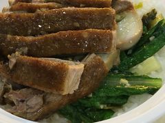 -潮双喜正宗澄海狮头鹅华利路店
