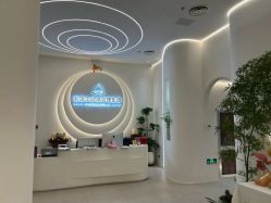 -紫琪尔·匠心连锁·胸部护理养护