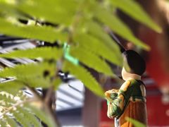 -大秦小宴•新派西北(万象前海店)