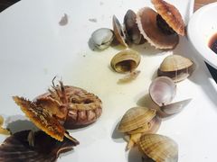 黄蚬子-海味当家·蒸锅海鲜(星海公园店)