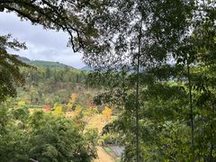 -塔川景区