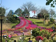 -东莞植物园