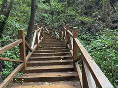 -大岭沟猕猴桃谷风景区