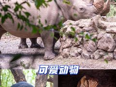 -普洱太阳河森林公园