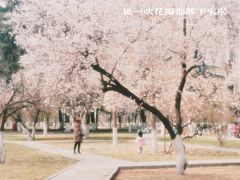 -山东大学(洪家楼校区)