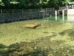 -白云源风景区