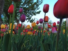 -长春公园(普阳街道)