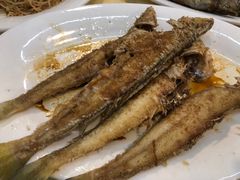 -蛇口康乐快餐鱼仔档(翠苑小区店)