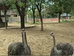 -石家庄市动物园