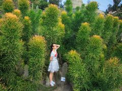 -厦门鼓浪屿青木蟳埔簪花写真摄影(鼓浪屿店)