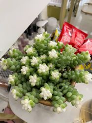 -Fanni美甲美睫皮肤管理