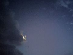 -武陵山森林公园