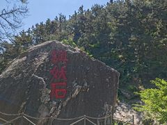 -海阳地雷战旅游区