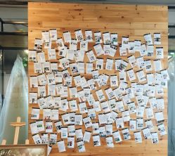 -菲林婚纱摄影工作室